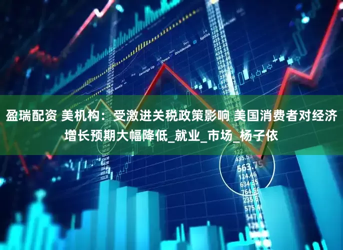盈瑞配资 美机构：受激进关税政策影响 美国消费者对经济增长预期大幅降低_就业_市场_杨子依