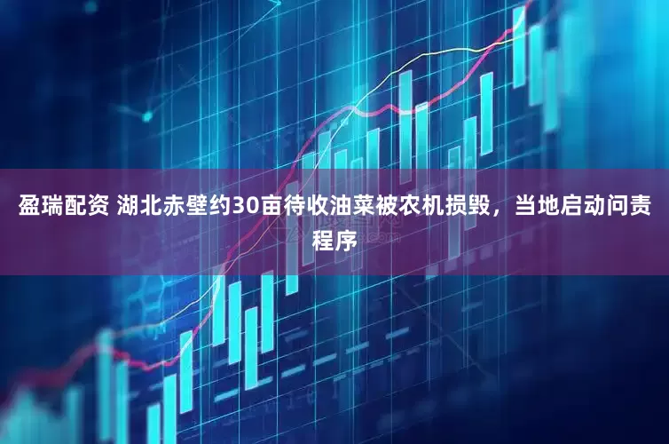 盈瑞配资 湖北赤壁约30亩待收油菜被农机损毁，当地启动问责程序