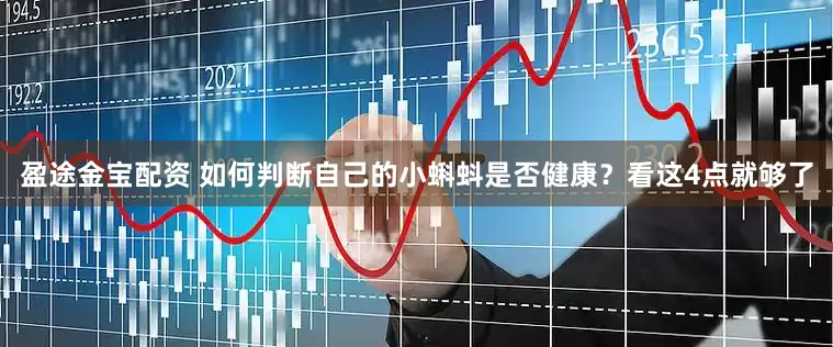 盈途金宝配资 如何判断自己的小蝌蚪是否健康?看这4点就够了